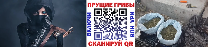 Галлюциногенные грибы MAGIC MUSHROOMS  hydra зеркало  Карачев  где можно купить наркотик 